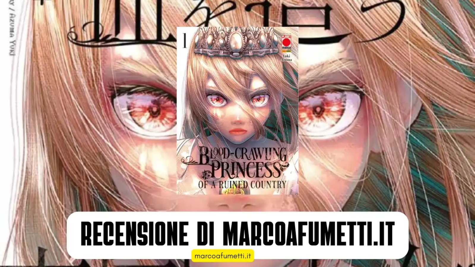 Blood-Crawling Princess of a Ruined Country cover recensione